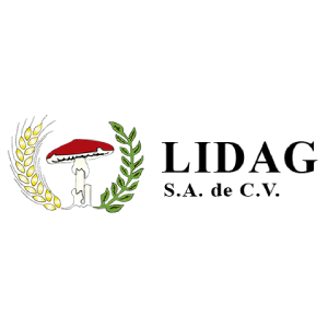 Lidag